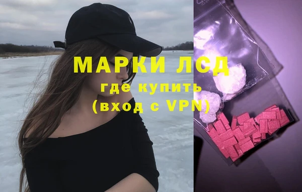 ECSTASY Богородицк