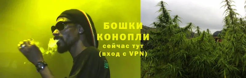 Бошки Шишки THC 21%  Черкесск 